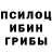Псилоцибиновые грибы GOLDEN TEACHER Julius Maloney