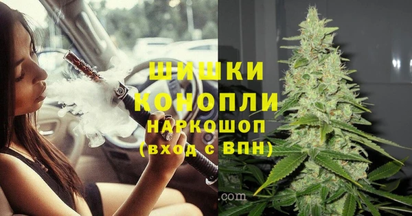 бошки Горнозаводск