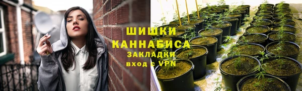 бошки Горнозаводск