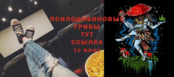 a pvp Горно-Алтайск