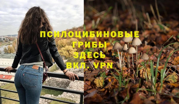 спайс Горняк