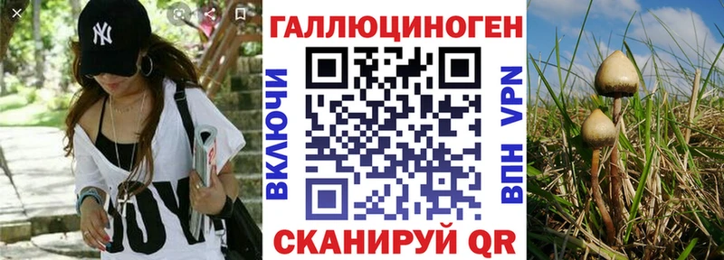 Галлюциногенные грибы прущие грибы  Павловский Посад 